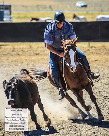 AdaminabyCampdraft2019_0469