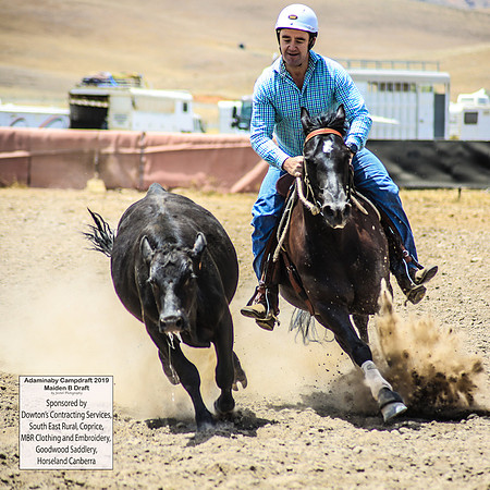 AdaminabyCampdraft2019_0751