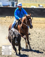 AdaminabyCampdraft2019_0480