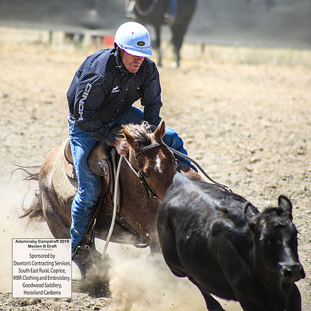 AdaminabyCampdraft2019_0585