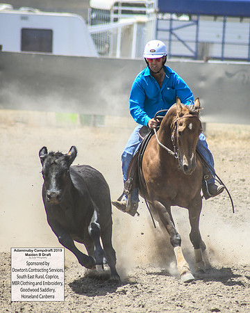 AdaminabyCampdraft2019_0636