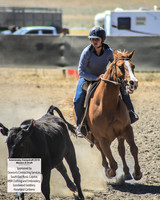 AdaminabyCampdraft2019_0453