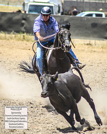 AdaminabyCampdraft2019_0680