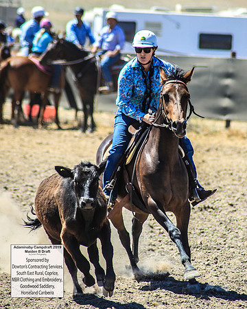 AdaminabyCampdraft2019_0514
