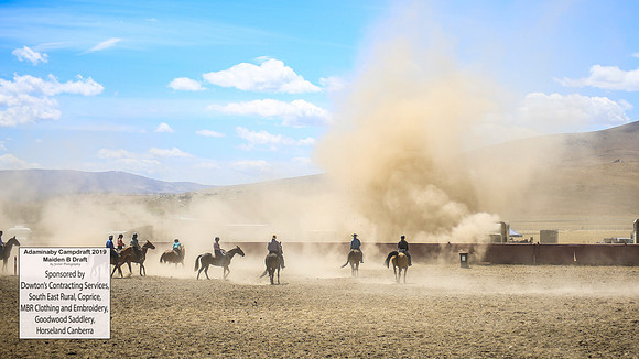 AdaminabyCampdraft2019_0574