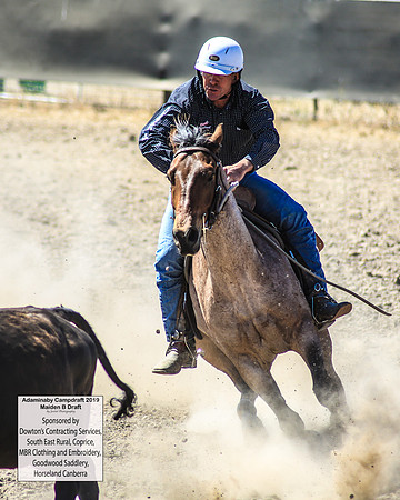 AdaminabyCampdraft2019_0405