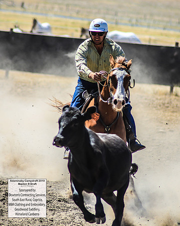 AdaminabyCampdraft2019_0459