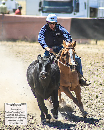 AdaminabyCampdraft2019_0528