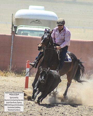 AdaminabyCampdraft2019_0657