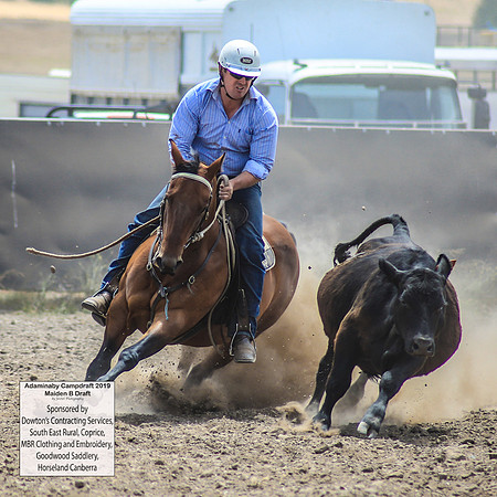 AdaminabyCampdraft2019_0717
