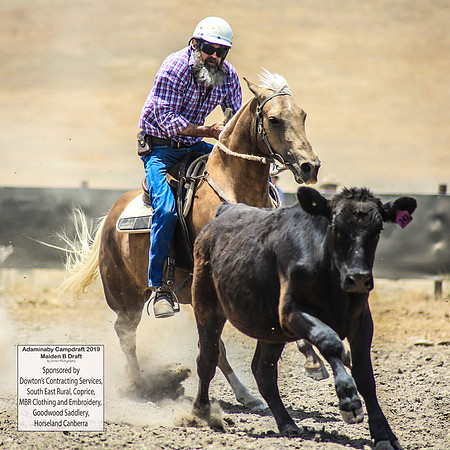 AdaminabyCampdraft2019_0785