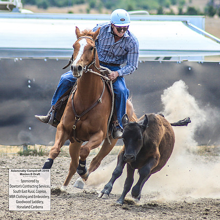 AdaminabyCampdraft2019_0683
