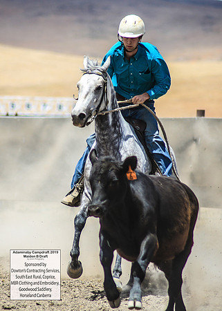 AdaminabyCampdraft2019_0854