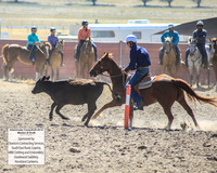 AdaminabyCampdraft2019_0374