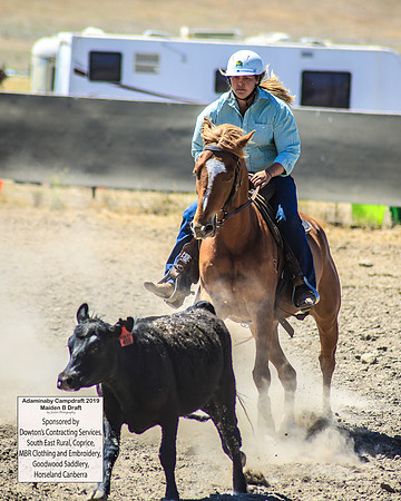 AdaminabyCampdraft2019_0536