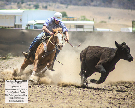 AdaminabyCampdraft2019_0759