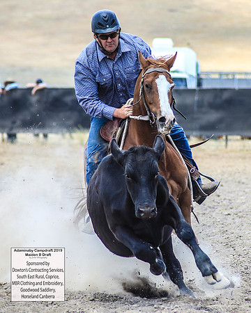 AdaminabyCampdraft2019_0819