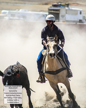 AdaminabyCampdraft2019_0505