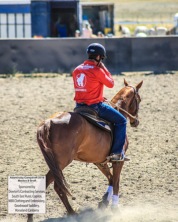 AdaminabyCampdraft2019_0364