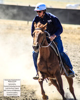 AdaminabyCampdraft2019_0372