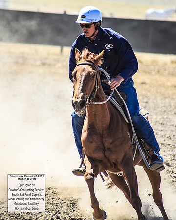 AdaminabyCampdraft2019_0372
