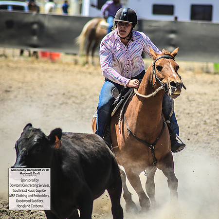 AdaminabyCampdraft2019_0560