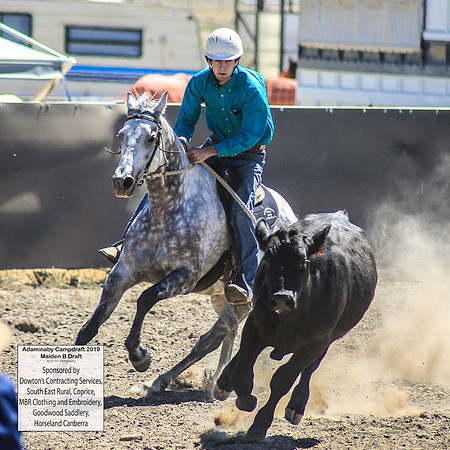 AdaminabyCampdraft2019_0491