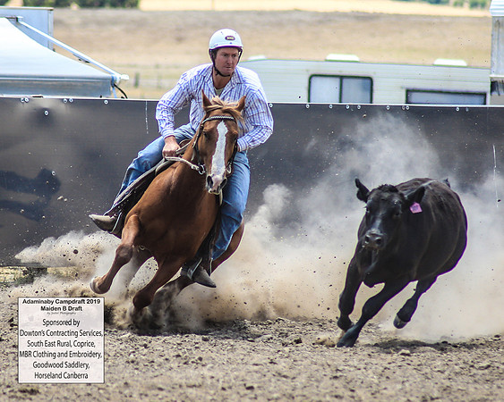 AdaminabyCampdraft2019_0831
