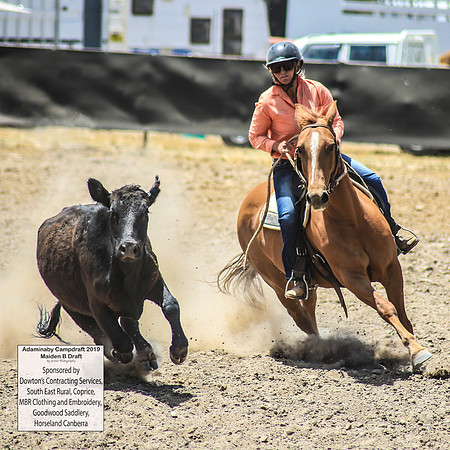 AdaminabyCampdraft2019_0673