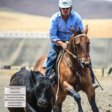 AdaminabyCampdraft2019_0732
