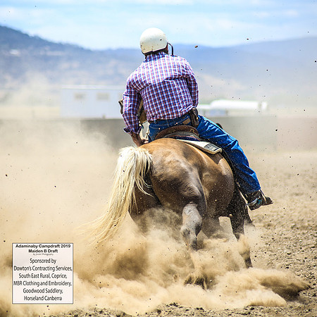 AdaminabyCampdraft2019_0777