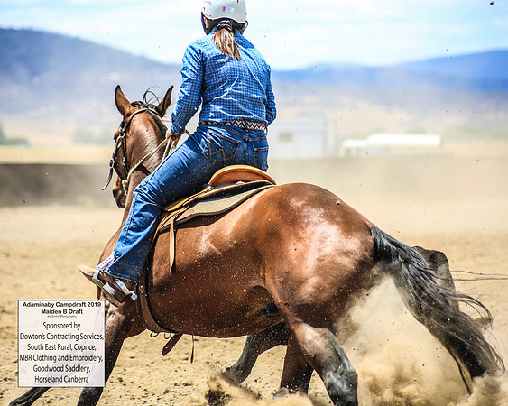 AdaminabyCampdraft2019_0799