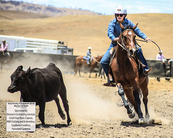 AdaminabyCampdraft2019_0797
