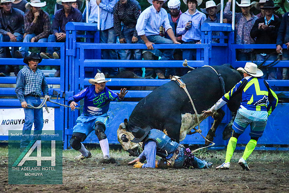 MoruyaRodeo2018_4497