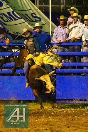 MoruyaRodeo2018_5315