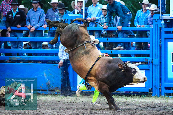 MoruyaRodeo2018_4267
