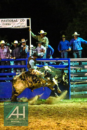 MoruyaRodeo2018_5227