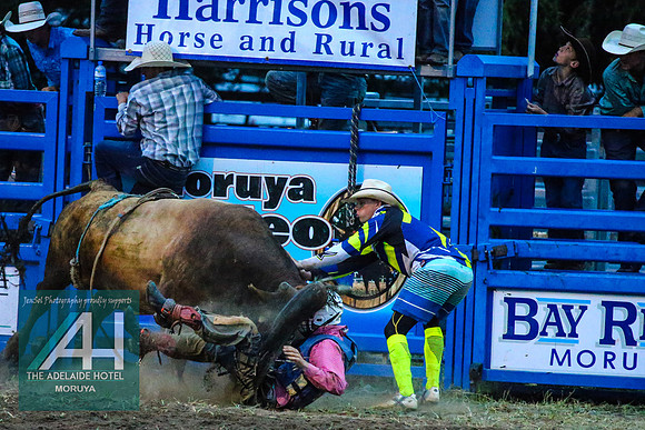 MoruyaRodeo2018_4546
