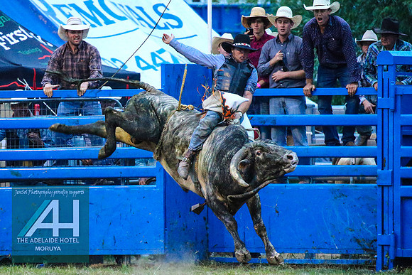 MoruyaRodeo2018_4295