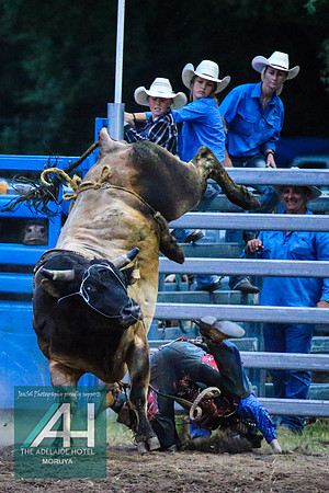 MoruyaRodeo2018_4380