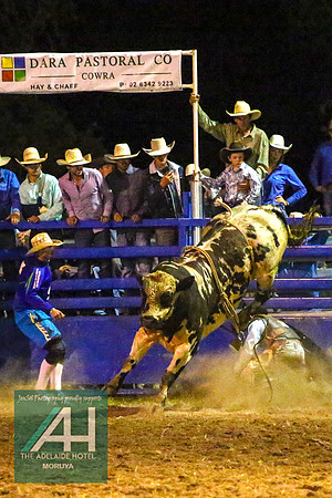 MoruyaRodeo2018_5233