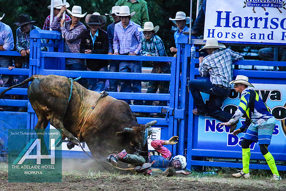 MoruyaRodeo2018_4532