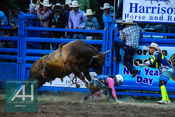 MoruyaRodeo2018_4549