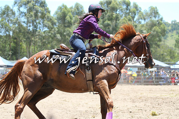 PictonRodeo2015_0227