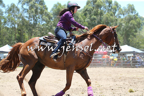 PictonRodeo2015_0228