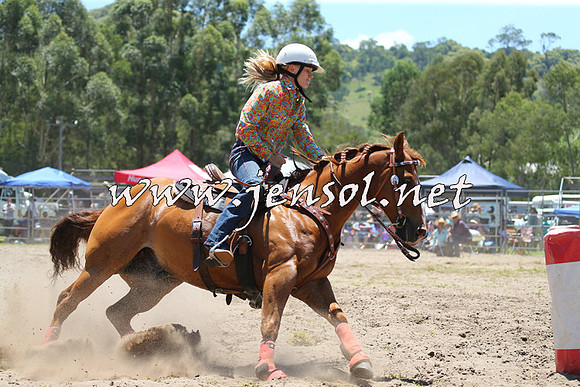 PictonRodeo2015_0254