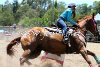 PictonRodeo2015_0068