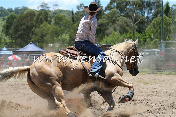 PictonRodeo2015_0135