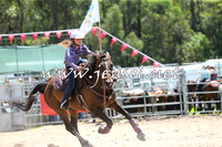 PictonRodeo2015_0098