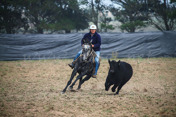 GoulburnCampdraft2017-0069